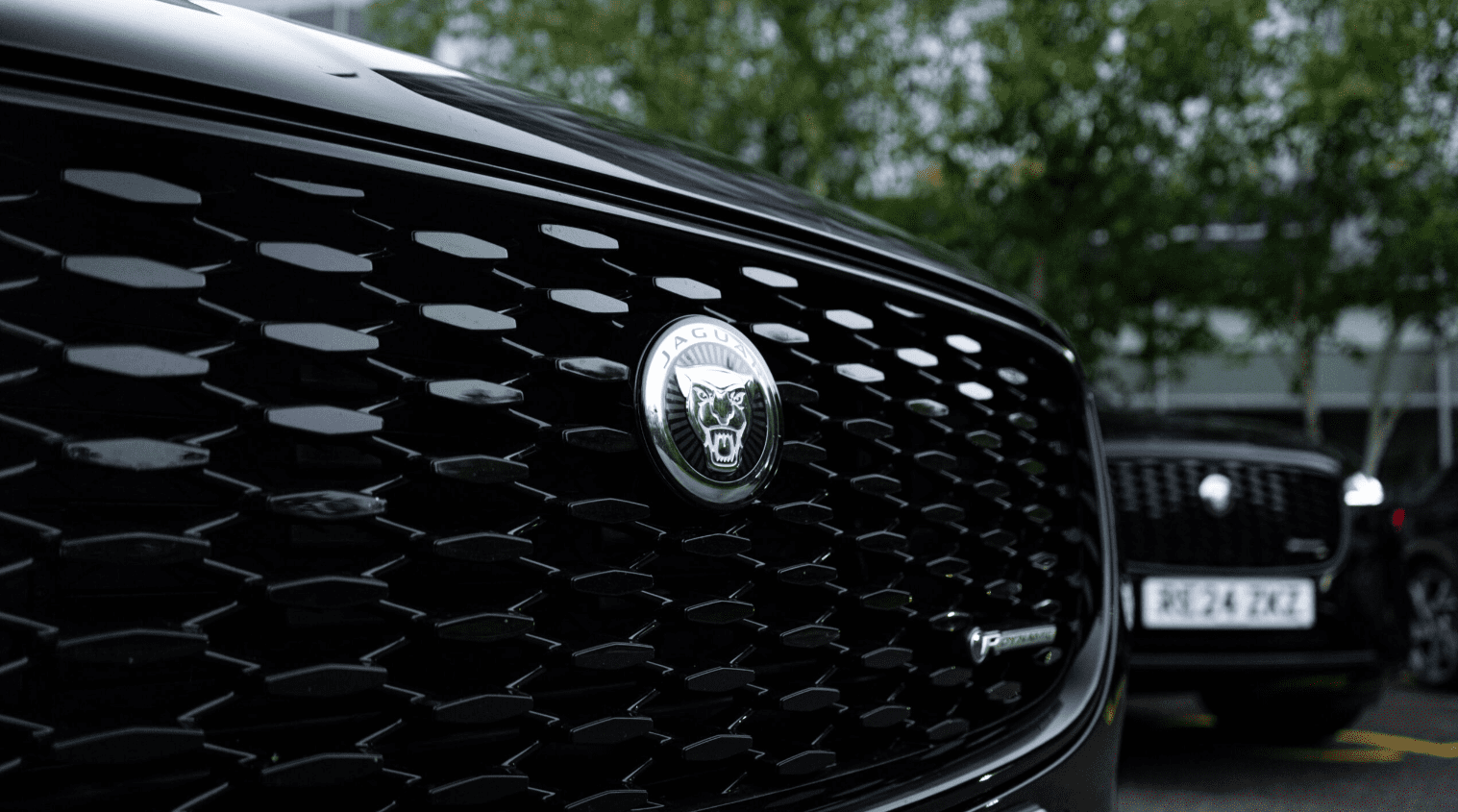 Close-up of the BMW logo emblem on a vehicle.